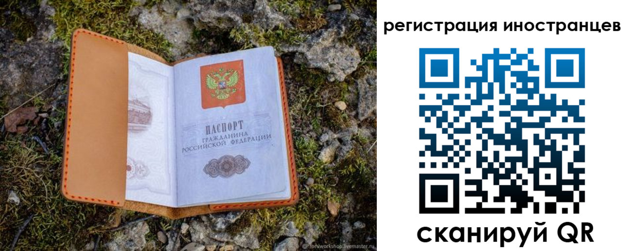 прописка паспорт в Шумихе